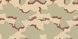 3-Color Desert Camouflage