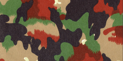 Alpenflage Camouflage