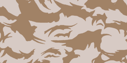 DPM Desert Camouflage