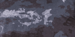 HDT LE Camouflage