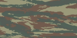 Lizard Camouflage