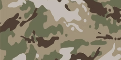 Operations Camouflage