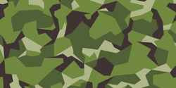 Splinter Camouflage