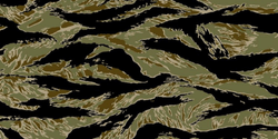 Tiger Stripe Camouflage