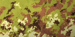 Vegetato Camouflage