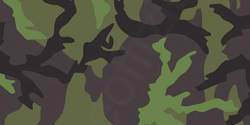 VZ95 Camouflage