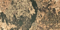 WASP II Z1b Camouflage
